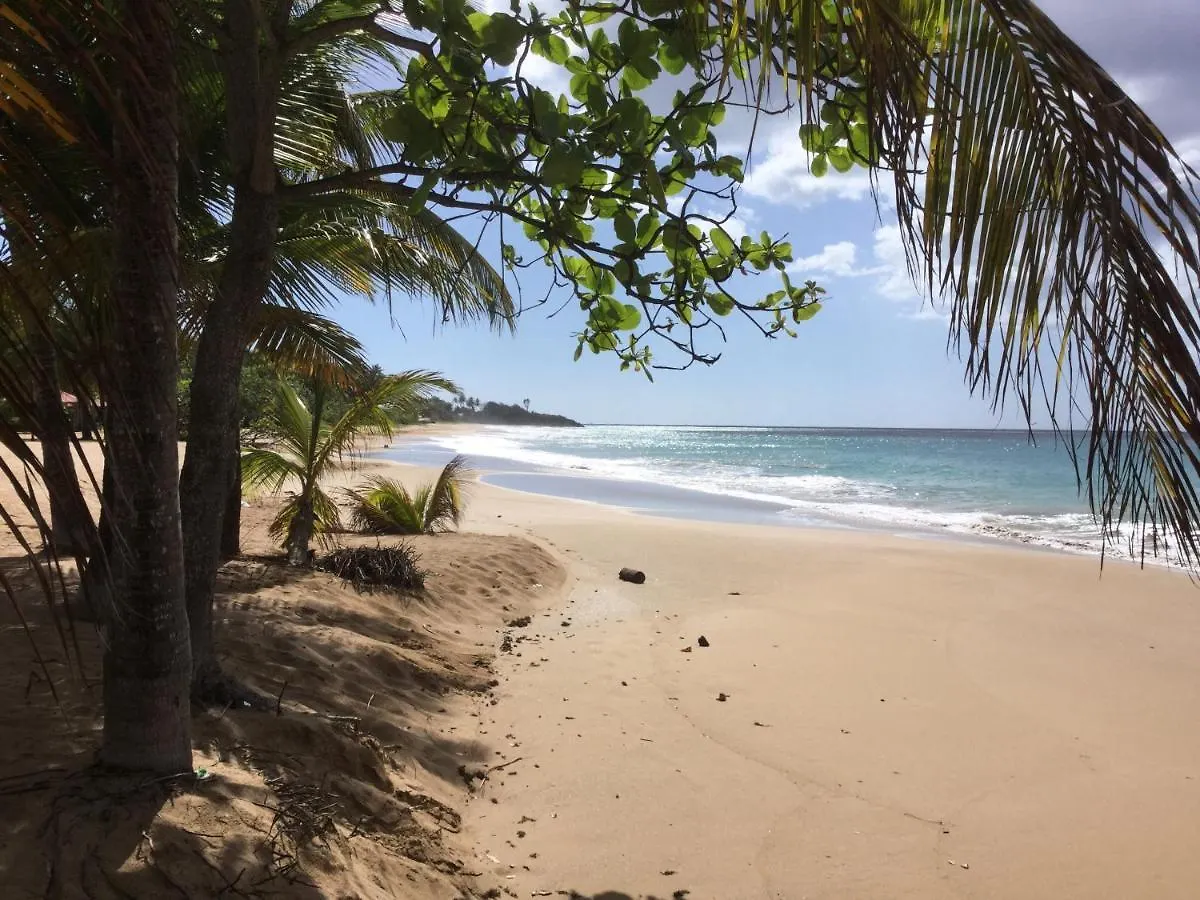 Alizea Appartement 1 Ere Ligne Vue Mer Et Plage Saint-Francois  Saint-Francois (Grande-Terre)